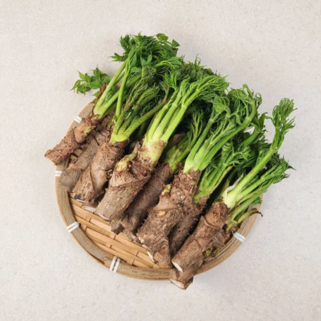 Fresh Korean Aralia shoot (Dureup),100g