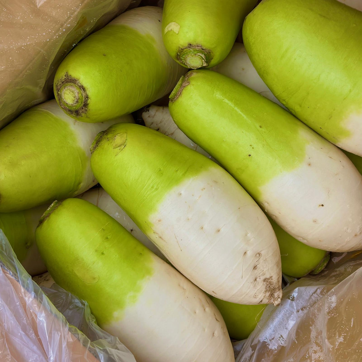 Fresh Korean Washed Radish