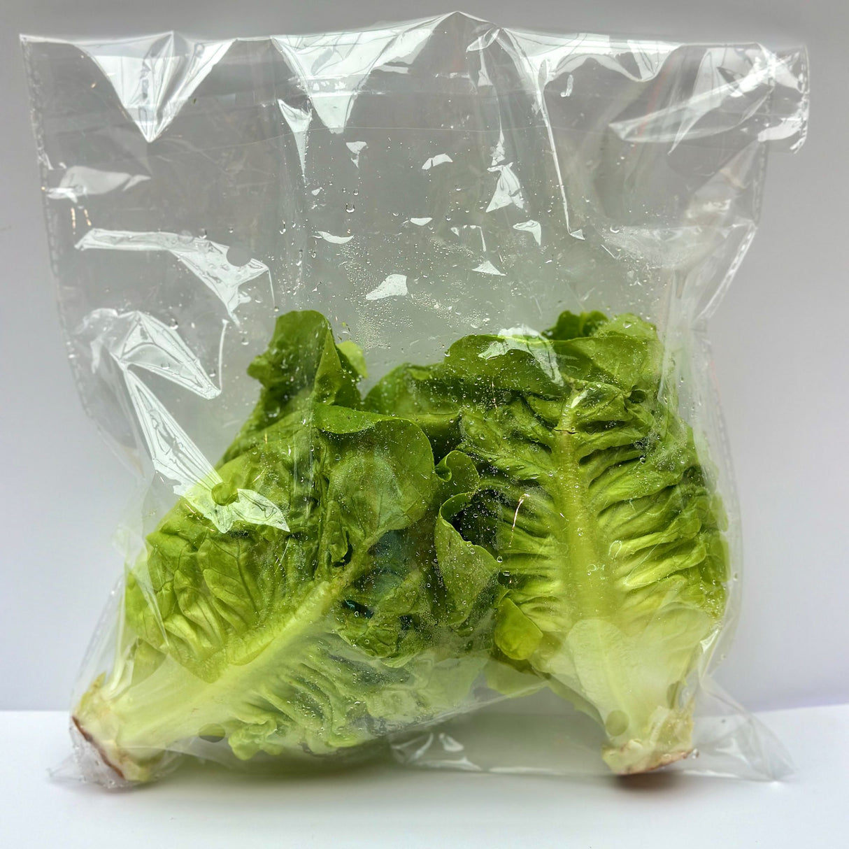 Fresh Local Baby Lettuce 350g