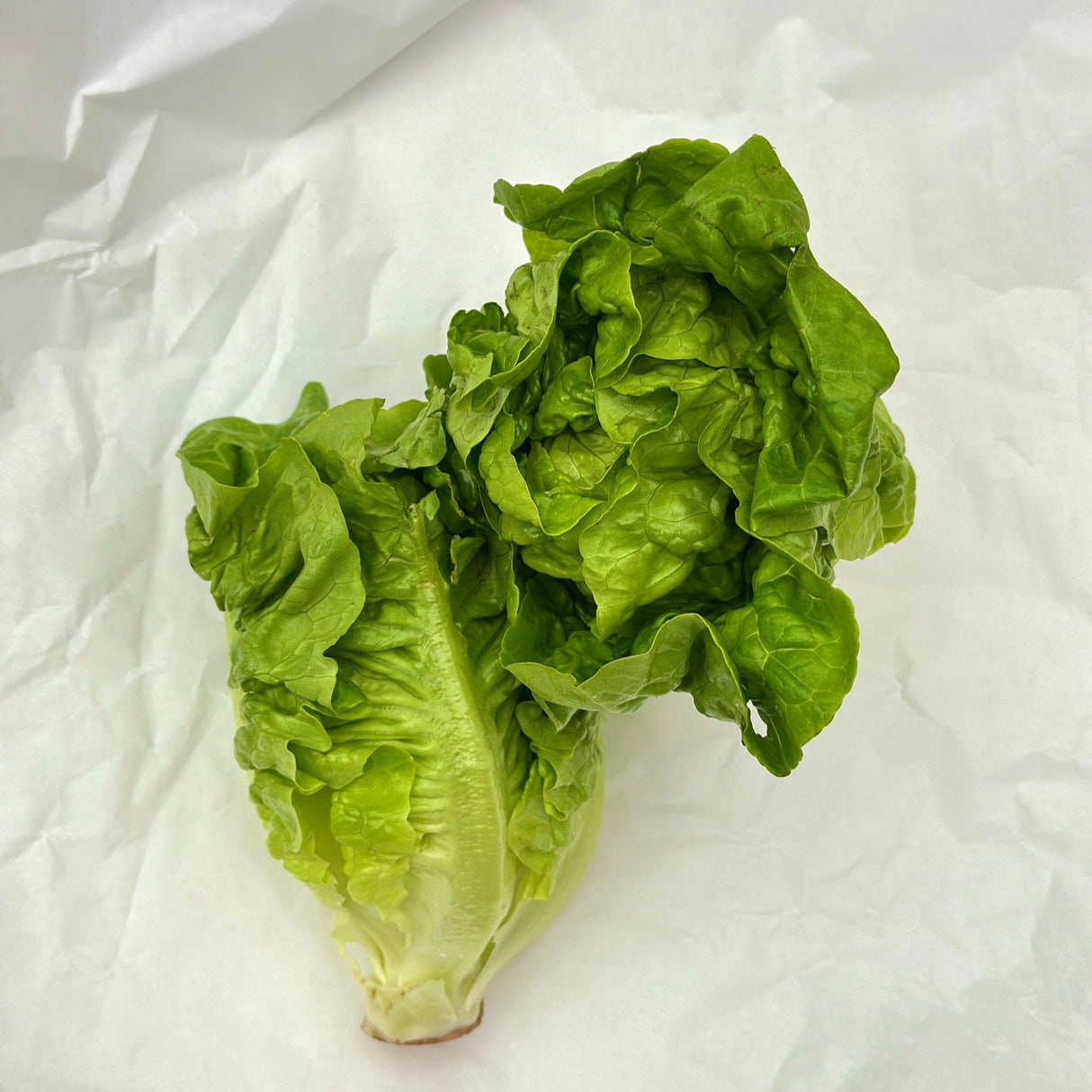 Fresh Local Baby Lettuce 350g