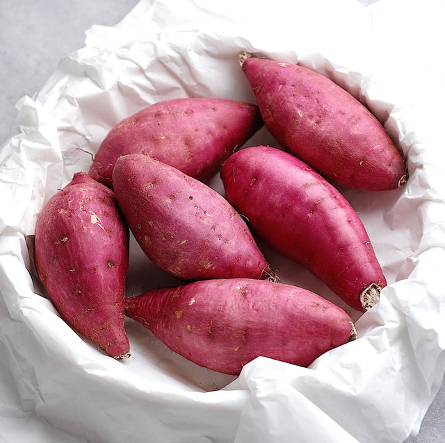 Fresh Korean Chestnut Sweet Potato 밤고구마, 1kg