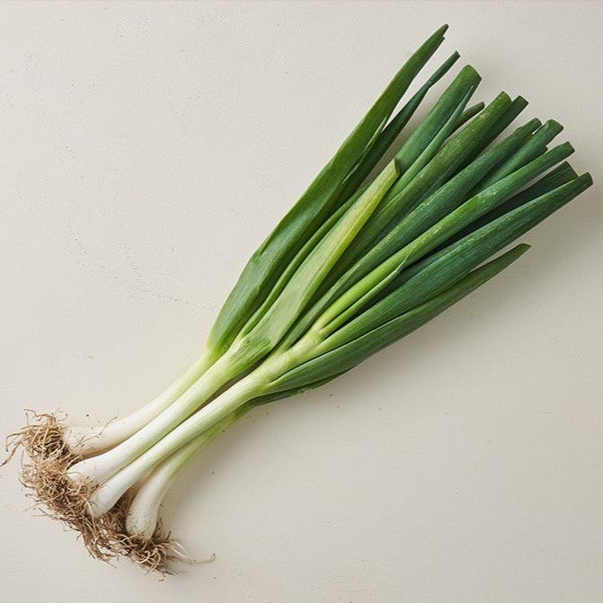 Fresh Local Leek, 260g