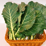 Fresh Korean Kale 130g