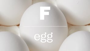 Magazine F, EGG, No.15