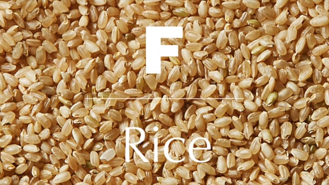 Magazine F, RICE, No.5