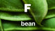 Magazine F, BEAN, No.11